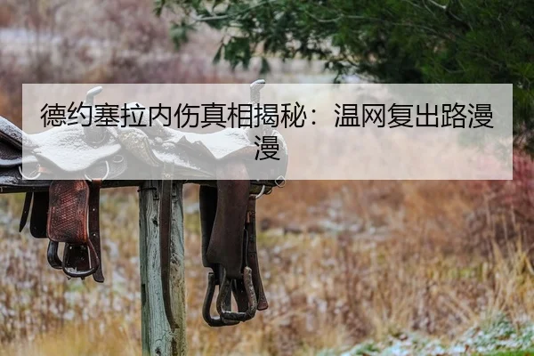 德约塞拉内伤真相揭秘：温网复出路漫漫（qmhsport）